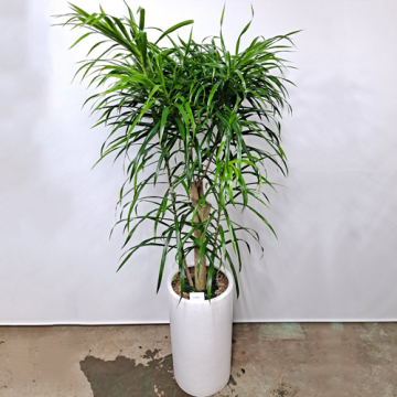 이미지 상세보기 이미지 상세보기